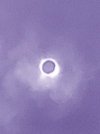 purple.edited Eclipse 2024-1.jpg