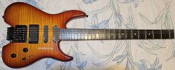 Steinberger front shrunk.jpg