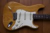 Fender Stratocaster Body Front.jpg
