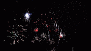 Fireworks01.gif