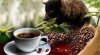 coffeeplantation-luwakcoffee-701x380.jpg