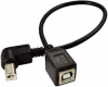 usb b cable.png