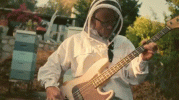 Flea-jammin-in-a-beekeeper-suit-Imgur.gif