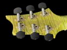2020-Paul-Reed-Smith-PRS-Pauls-Guitar-Private-Stock-20-303820-Jade-Glow-9-scaled.jpeg