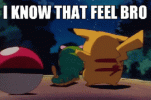 pokemon-i-know-that-feel-bro.gif