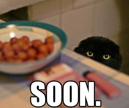 funny-meme-animals-soon-005.jpg