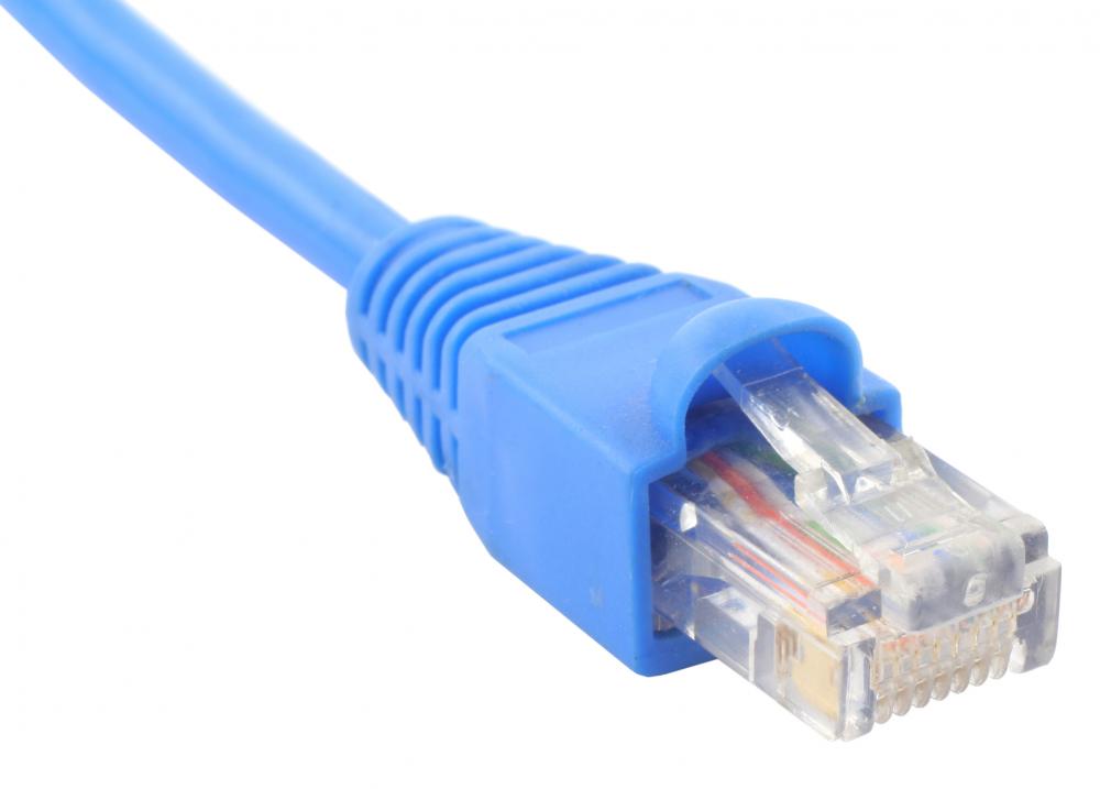 cat-5-cable-with-rj45-plug.jpg