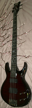 Schecter_DV4_Limited_Full_20.jpg