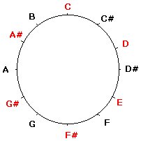circle1.jpg